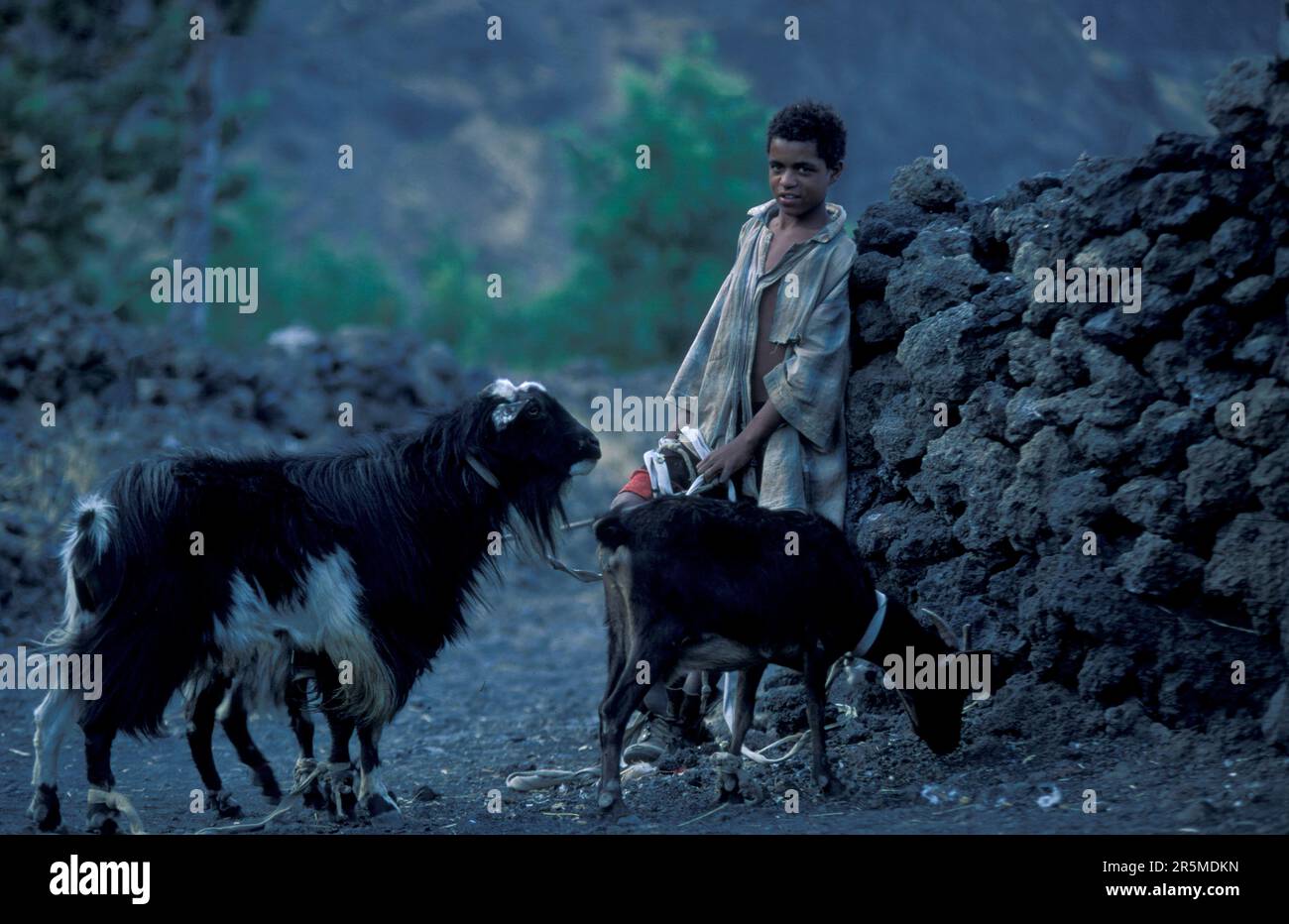 a boy with a Goat at the Cater Village in the big Crater of the Volcano ...