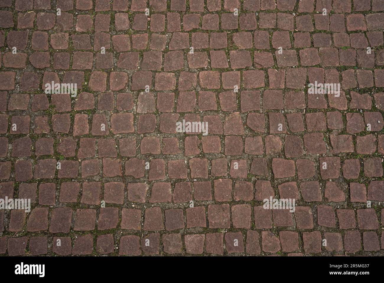 Brick wall background or texture Stock Photo