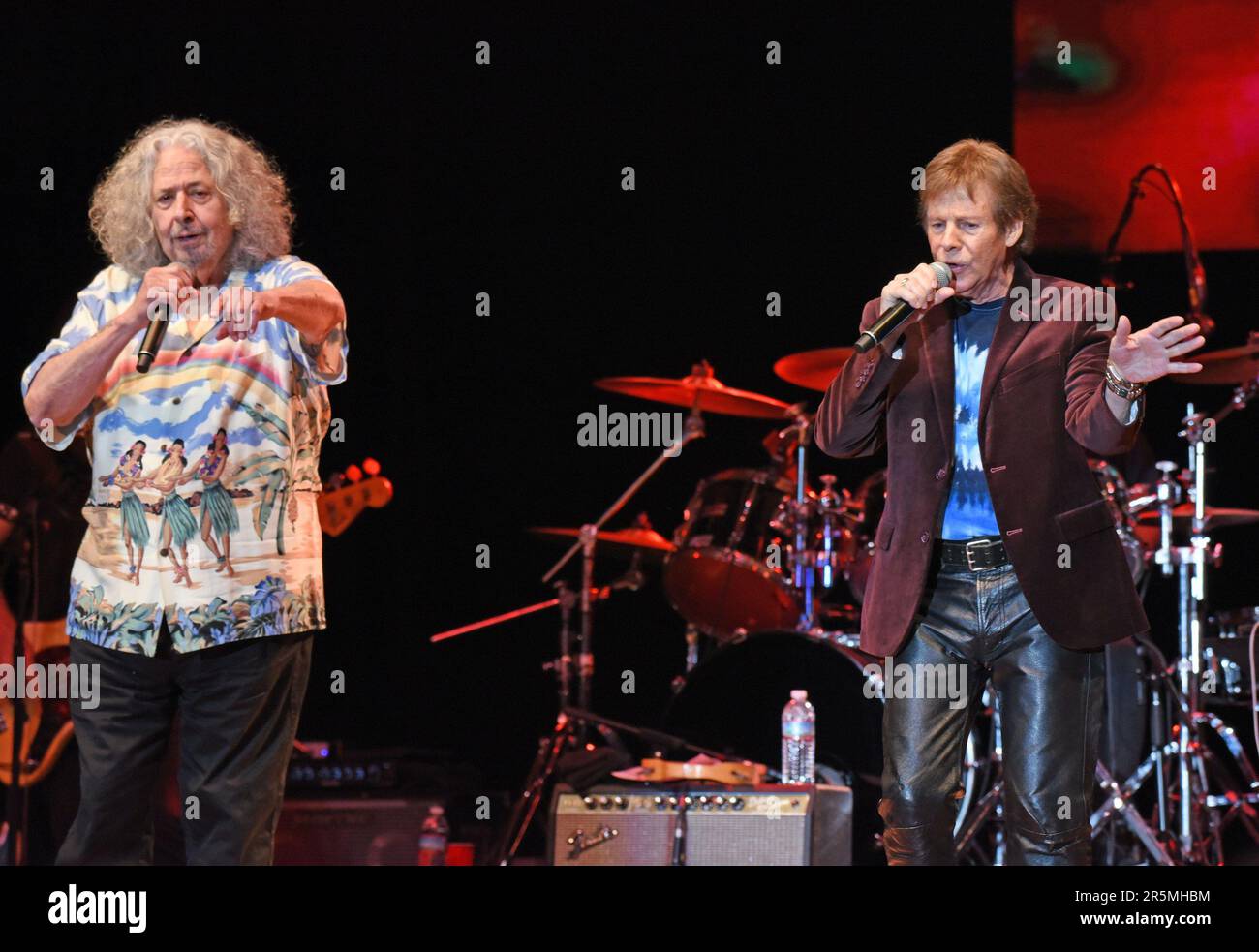 Hiawassee, GA, USA. 3rd June, 2023. The Turtles, Mark Volman, Howard