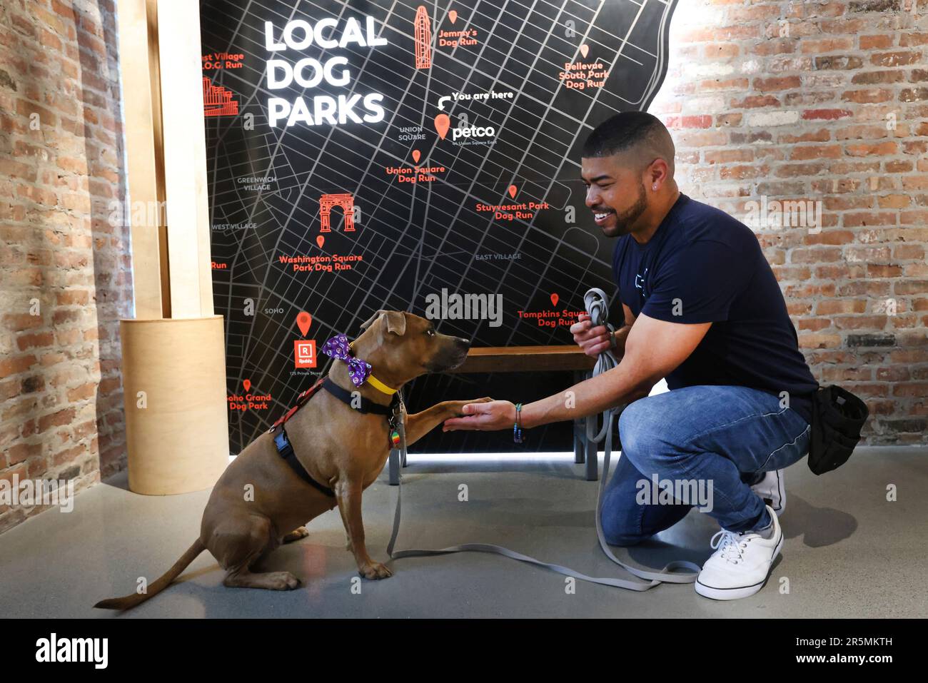 IMAGE DISTRIBUTED FOR PETCO Pets and pet parents celebrate the grand opening of Petco's new
