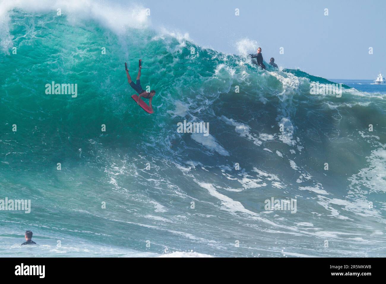 Bodyboarder boogie boarding dropping in on a huge wave at the Wedge ...