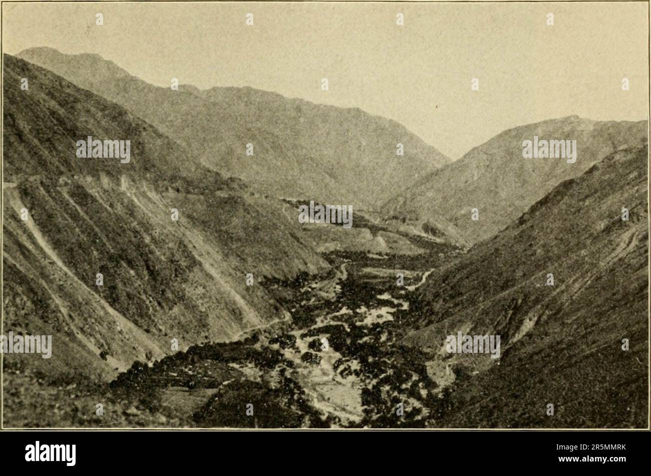 1913 report hi-res stock photography and images - Alamy