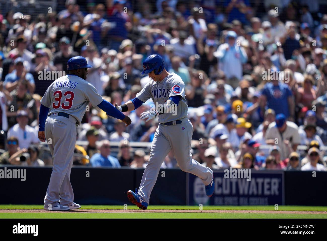 Chicago Cubs' Seiya Suzuki batting during the first inning of a baseball  game against the San Diego Padres Sunday, June 4, 2023, in San Diego. (AP  Photo/Gregory Bull Stock Photo - Alamy