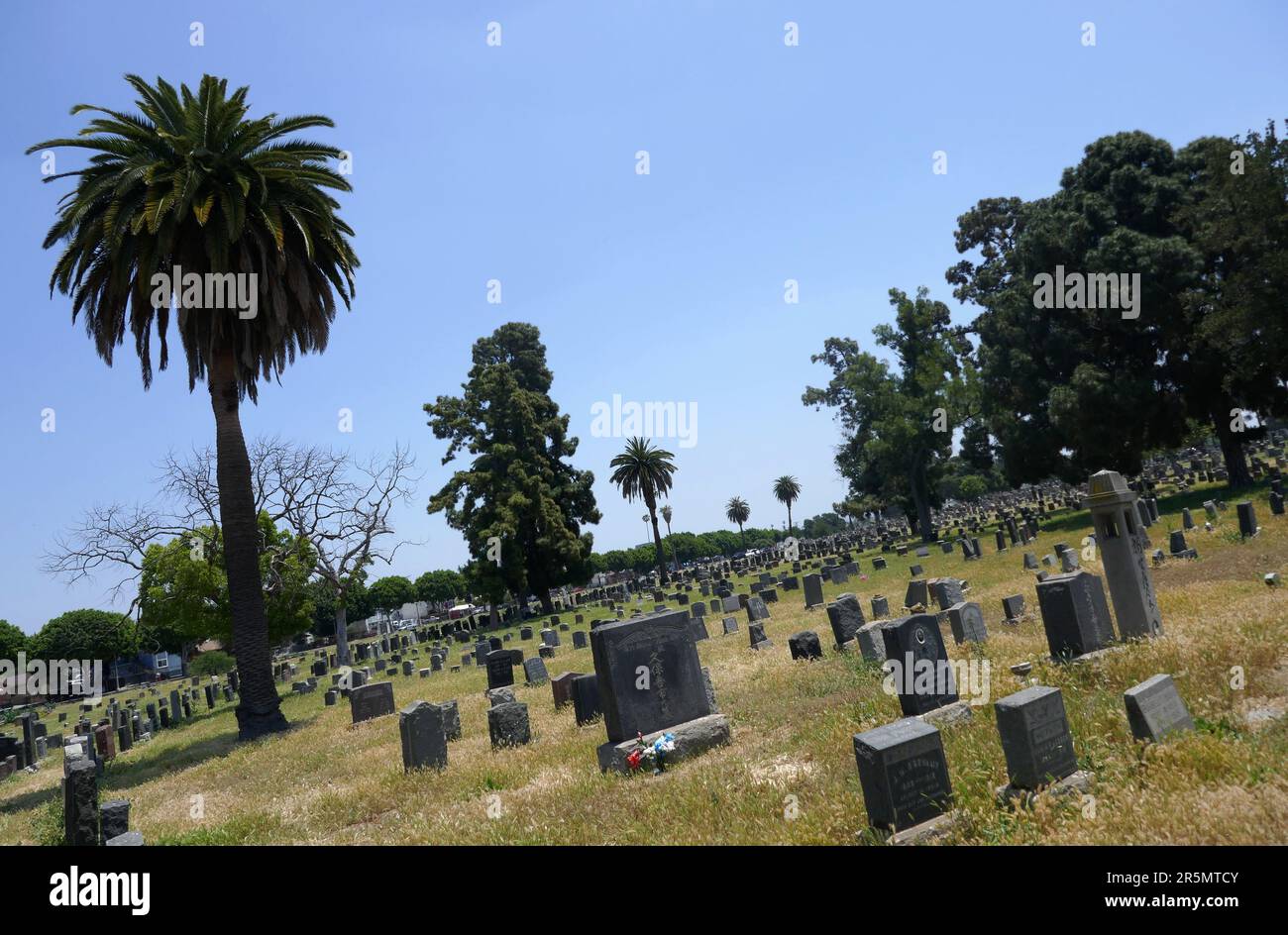 Los Angeles, California, USA 3rd June 2023 Evergreen Cemetery at 204 N