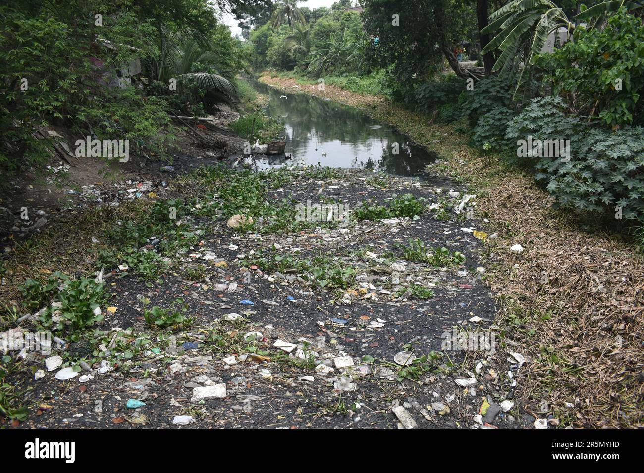 Kolkata, India. 04th June, 2023. A polluted canal is full of plastics