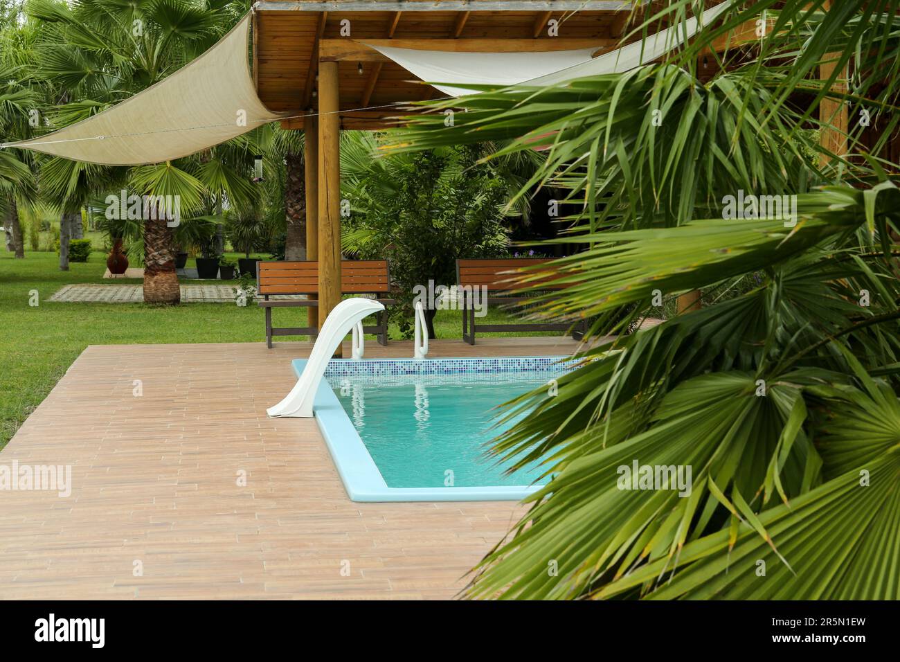 Green palm near outdoor swimming pool with grab rails Stock Photo