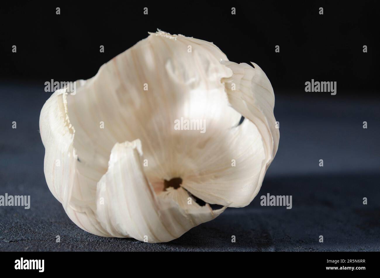 Garlic skin on the dark background Stock Photo
