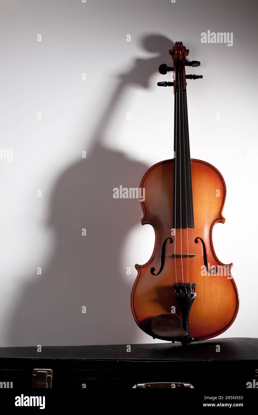Violin with soft shadow and copy space Stock Photo