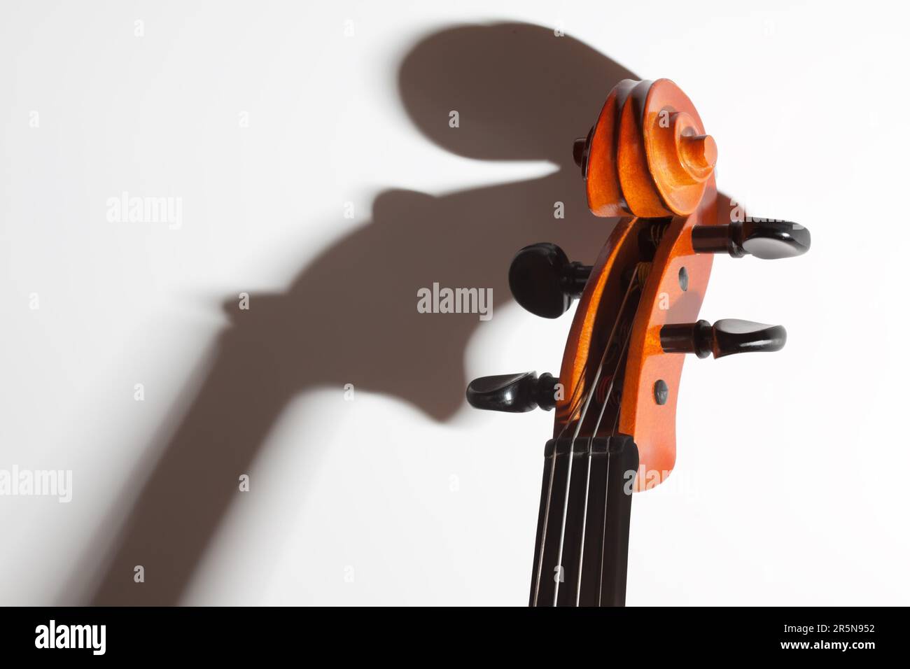 Violin with soft shadow and copy space Stock Photo