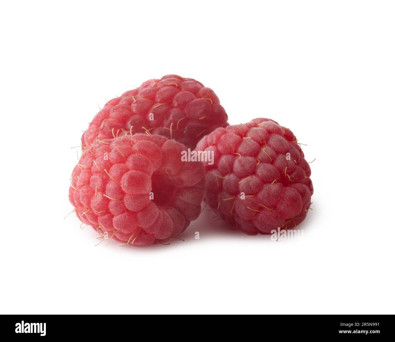 Fresh raspberry on a white backgroundand with soft shadow Stock Photo