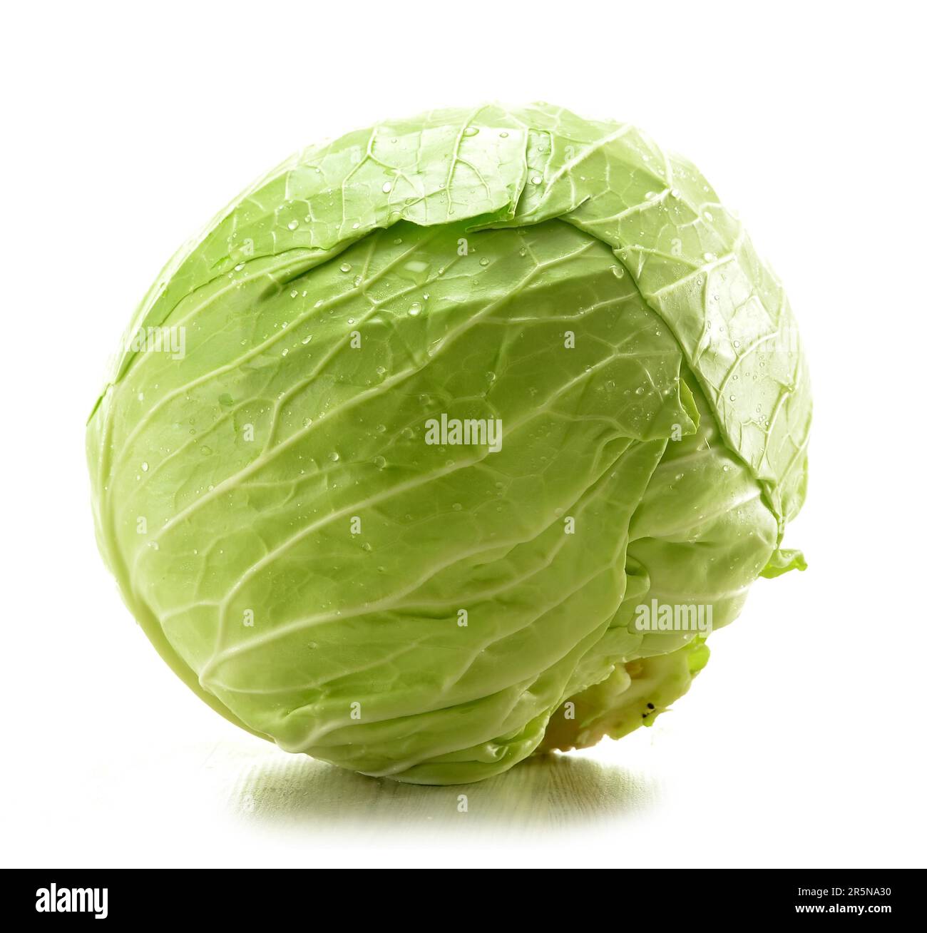 Cabbage Isolated Cabbage isolated on white Stock Photo - Alamy