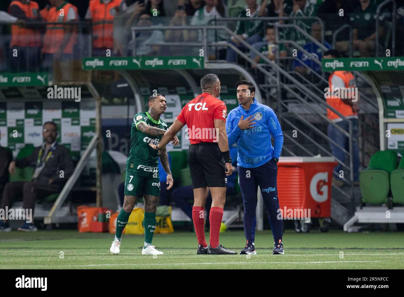 Palmeiras x Coritiba: informações, estatísticas e curiosidades