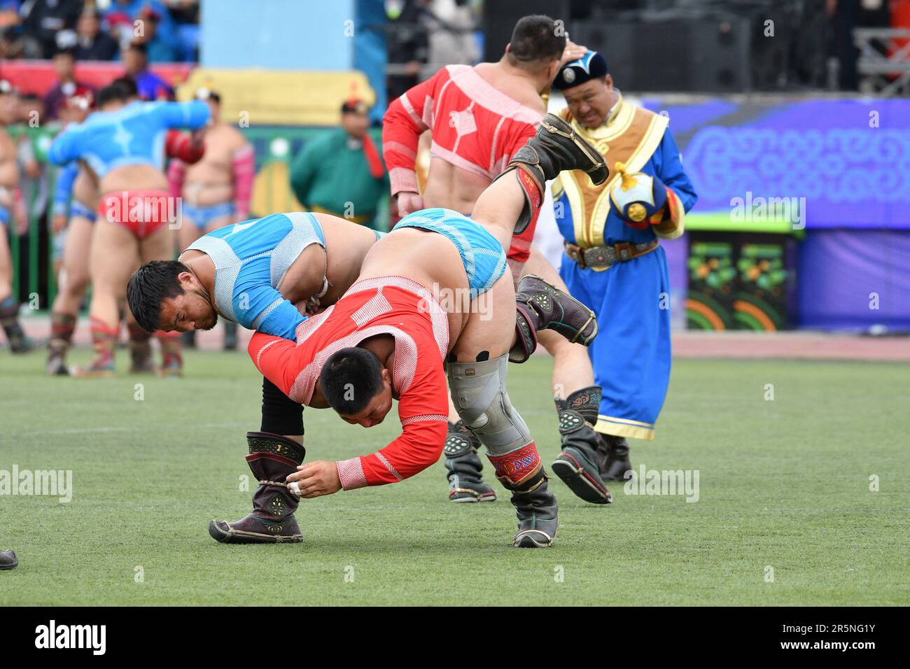 Mongolian wrestling, known as Bökh, is the folk wrestling style of Mongols in Mongolia. Stock Photo