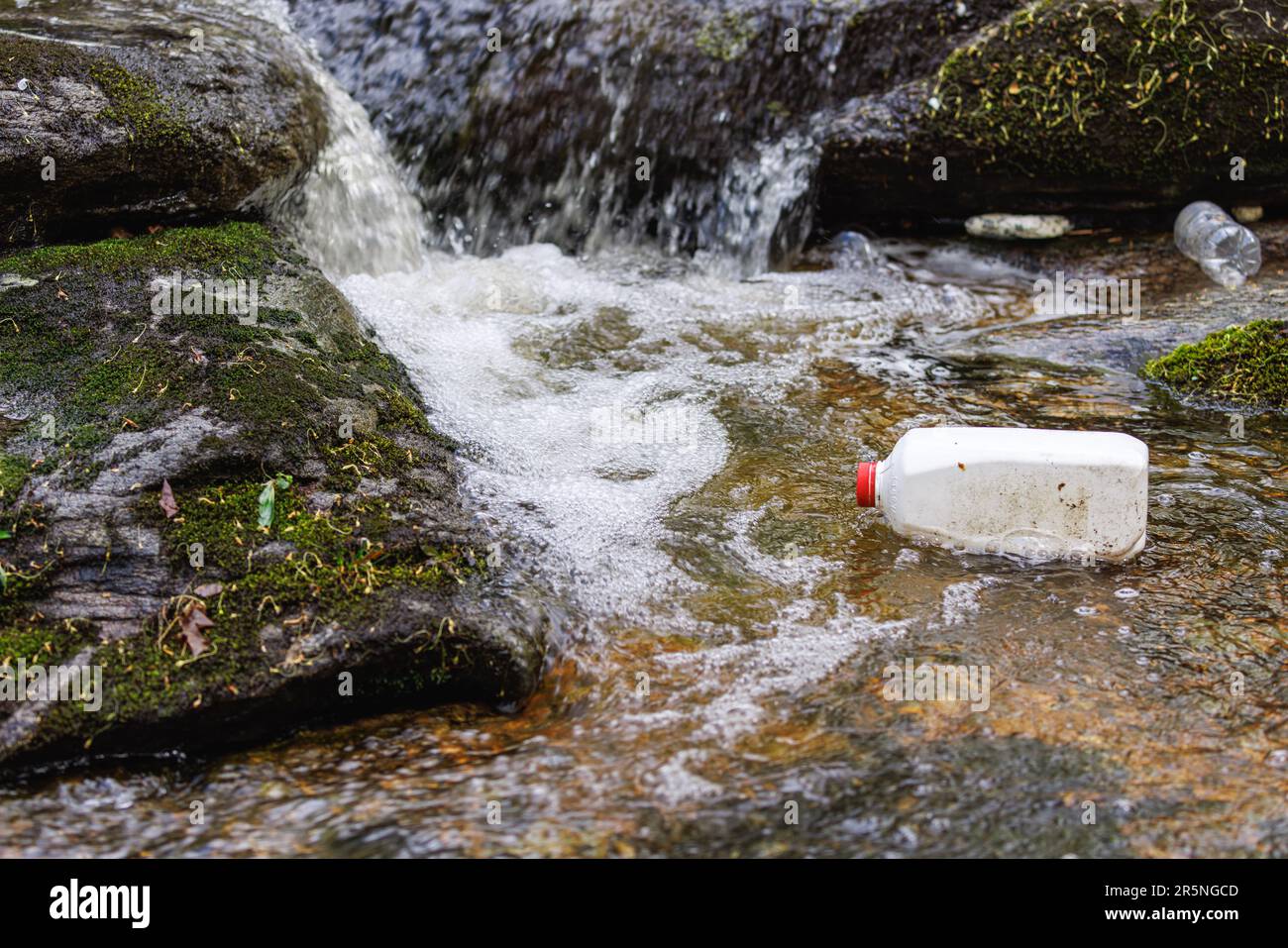 Empty Milk Jug litter floating in Pristine Flowing Stream showing environmental pollution Stock Photo