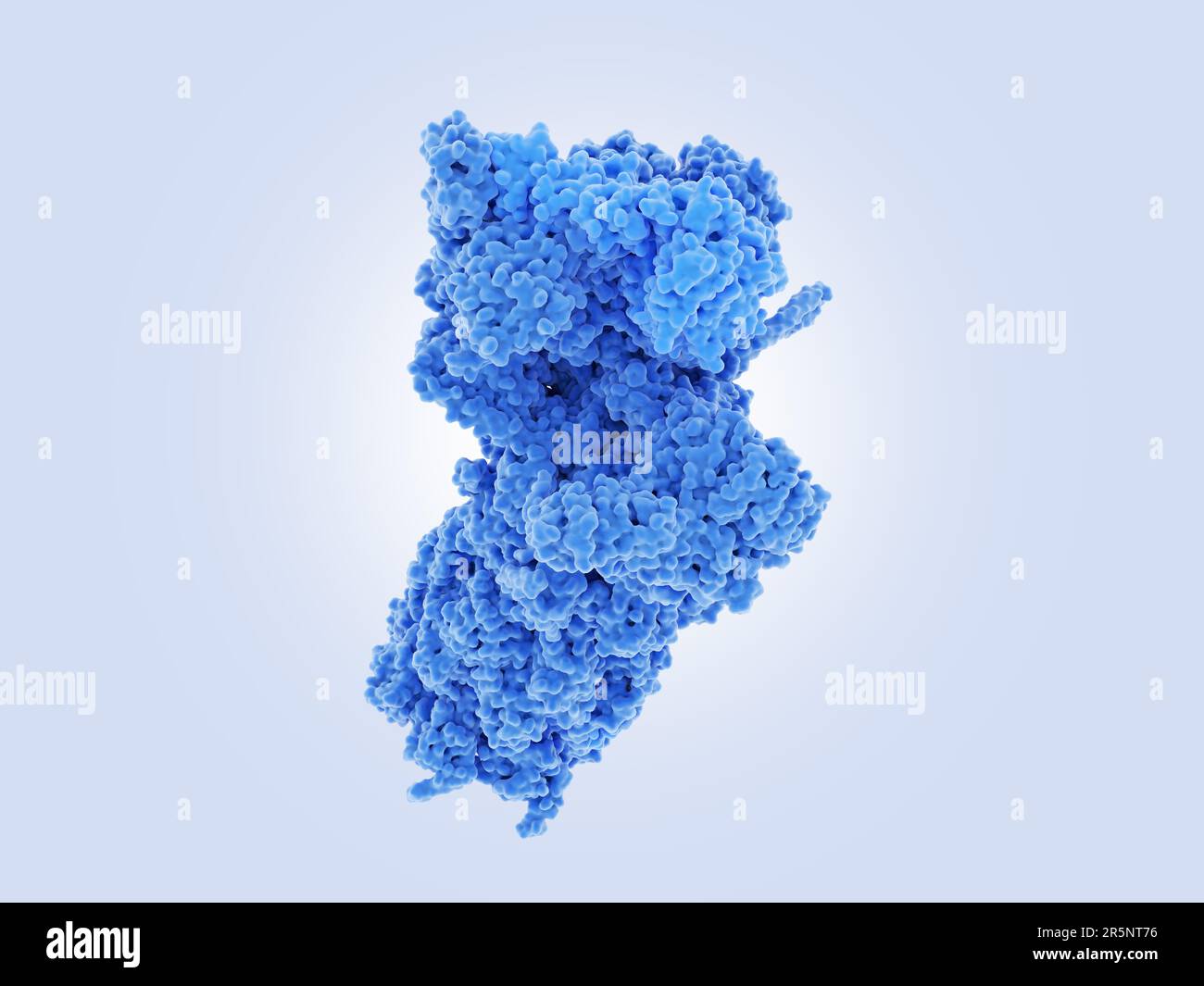 Ubiquitin proteasome pathway hi-res stock photography and images - Alamy