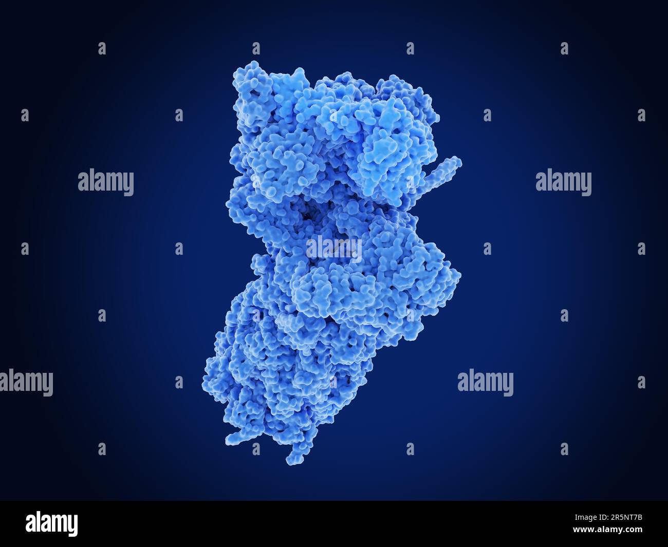Ubiquitin proteasome pathway hi-res stock photography and images - Alamy