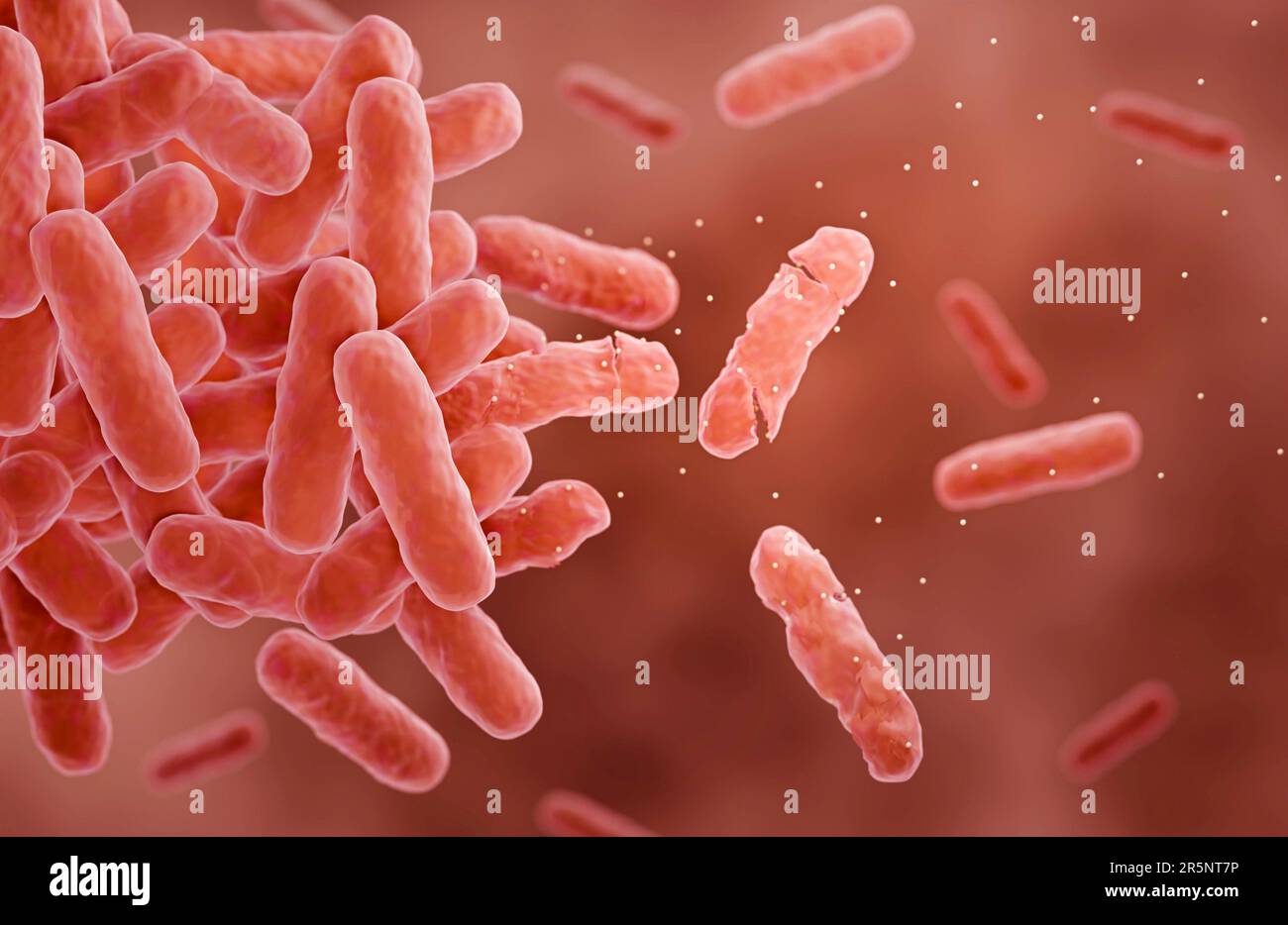 Antibiotics attacking bacteria, illustration Stock Photo Alamy