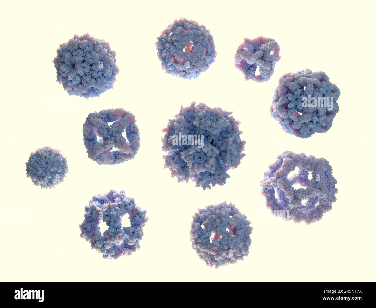 Protein nanoparticles, illustration Stock Photo Alamy