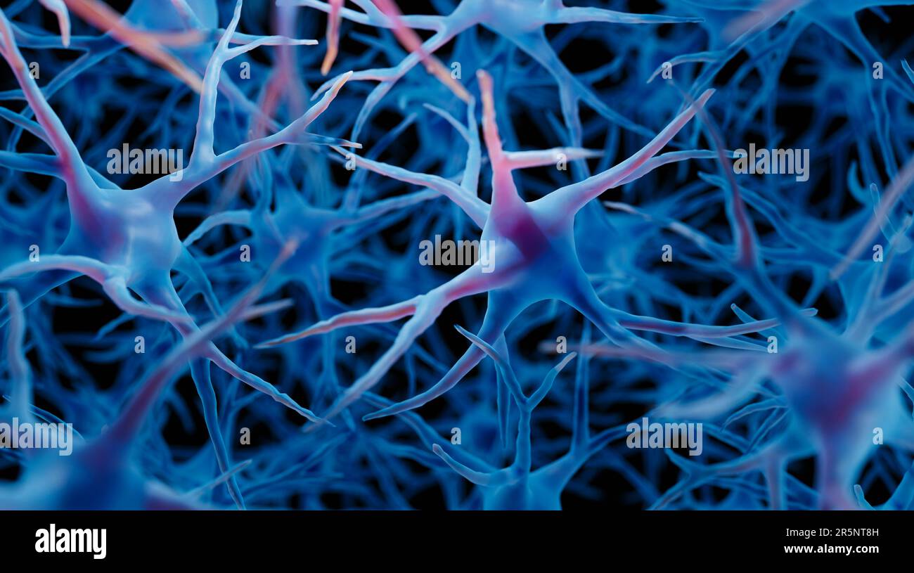 Brain cells, illustration Stock Photo Alamy