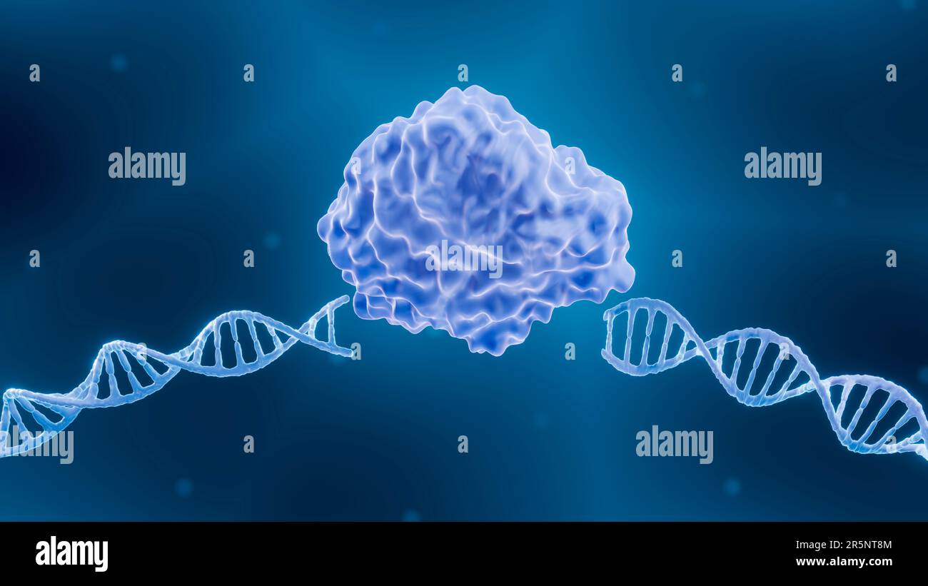 Crispr cas9 gene editing illustration hi-res stock photography and ...