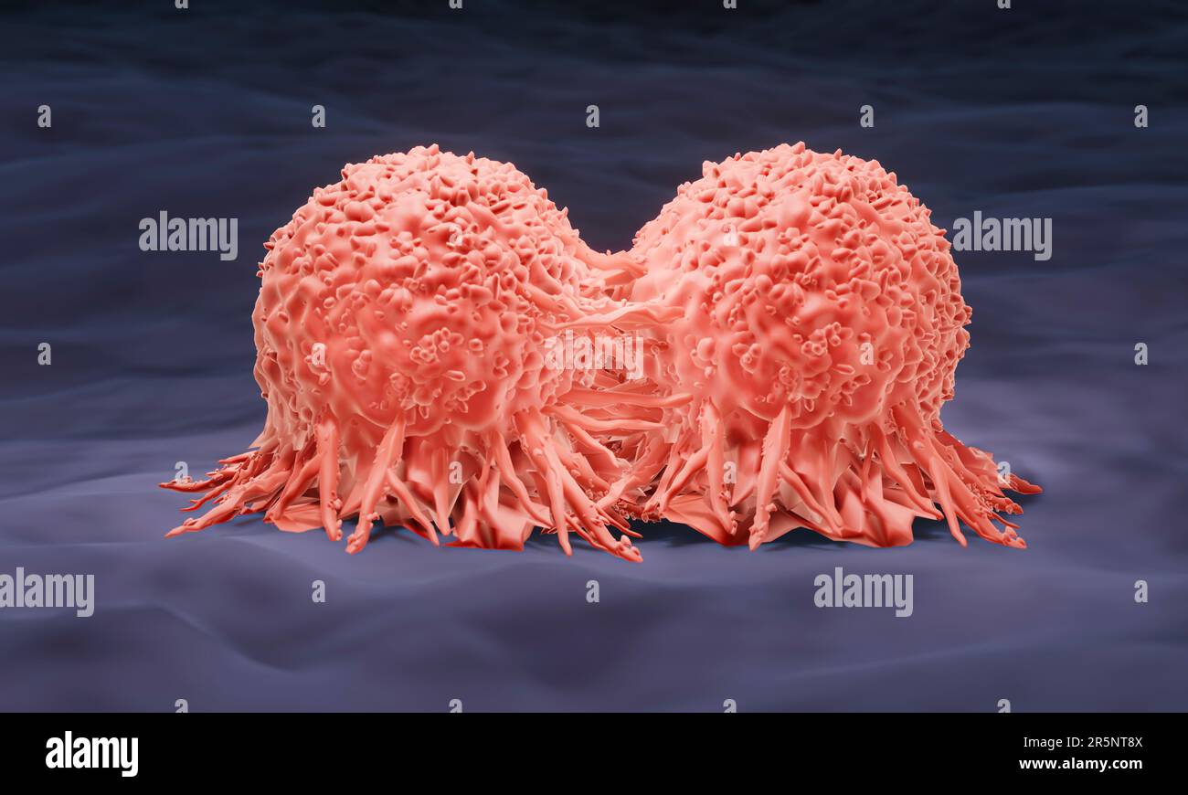 Cancer cell dividing, illustration Stock Photo - Alamy