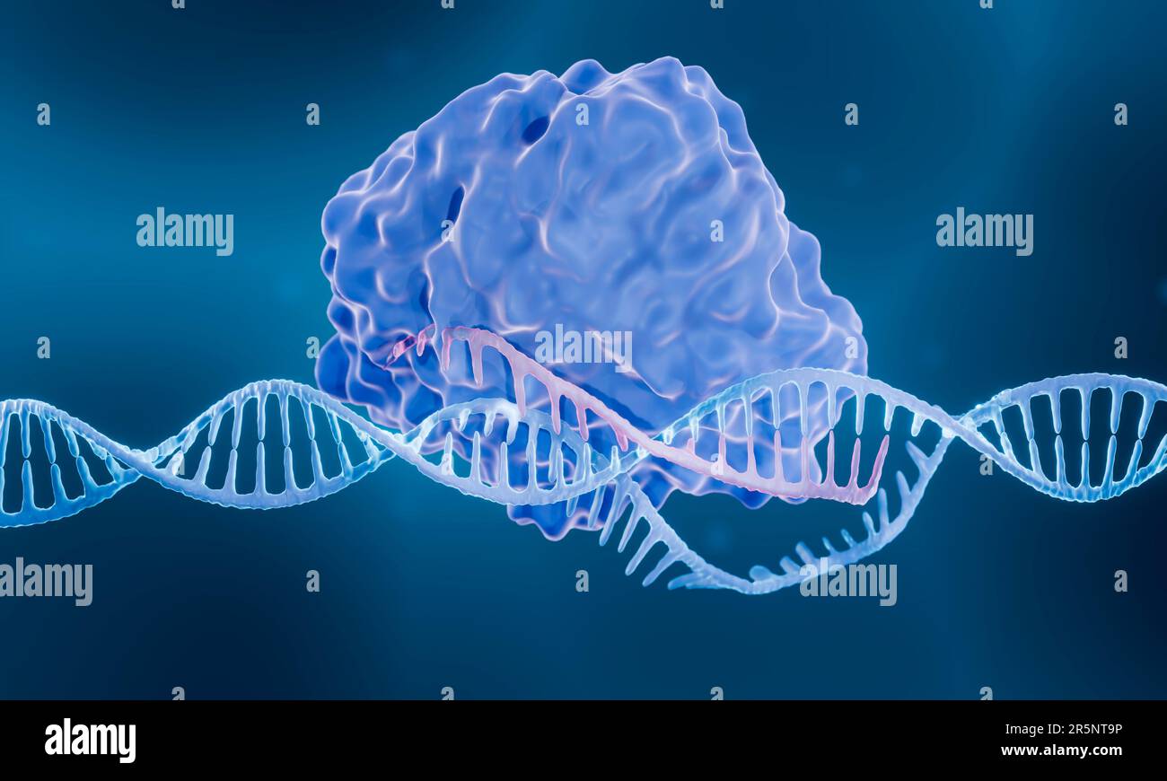 Crispr cas9 gene editing illustration hi-res stock photography and ...