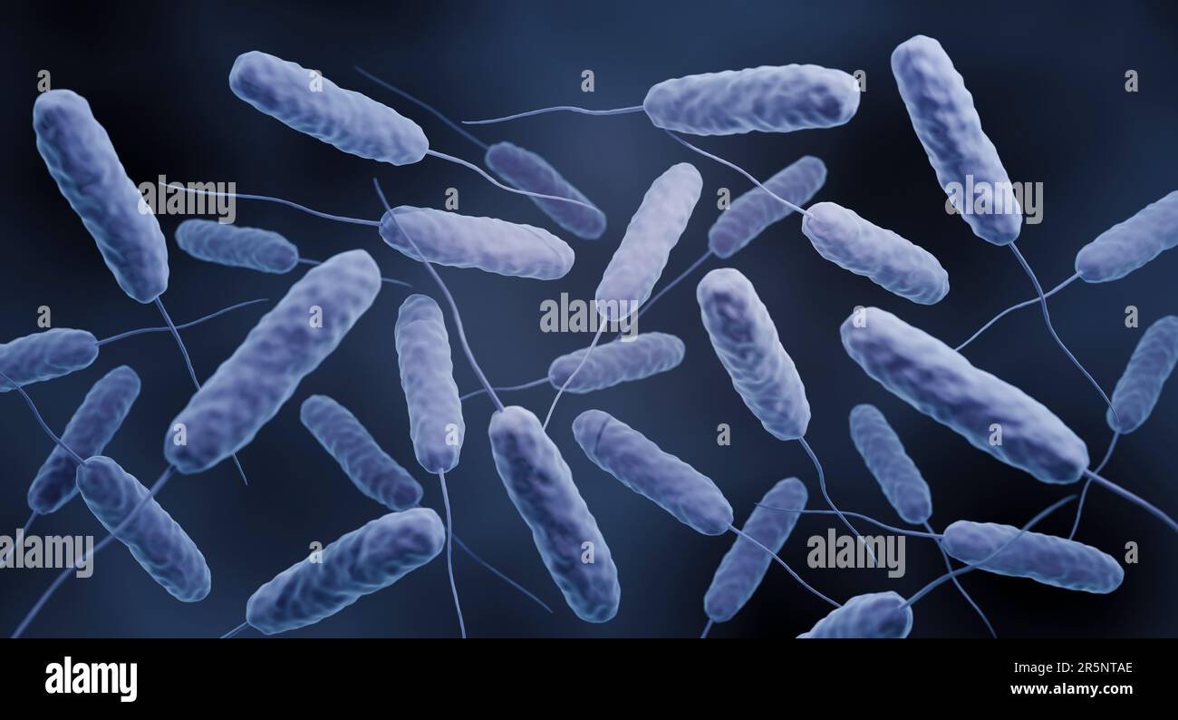 Vibrio cholerae bacteria, illustration Stock Photo Alamy