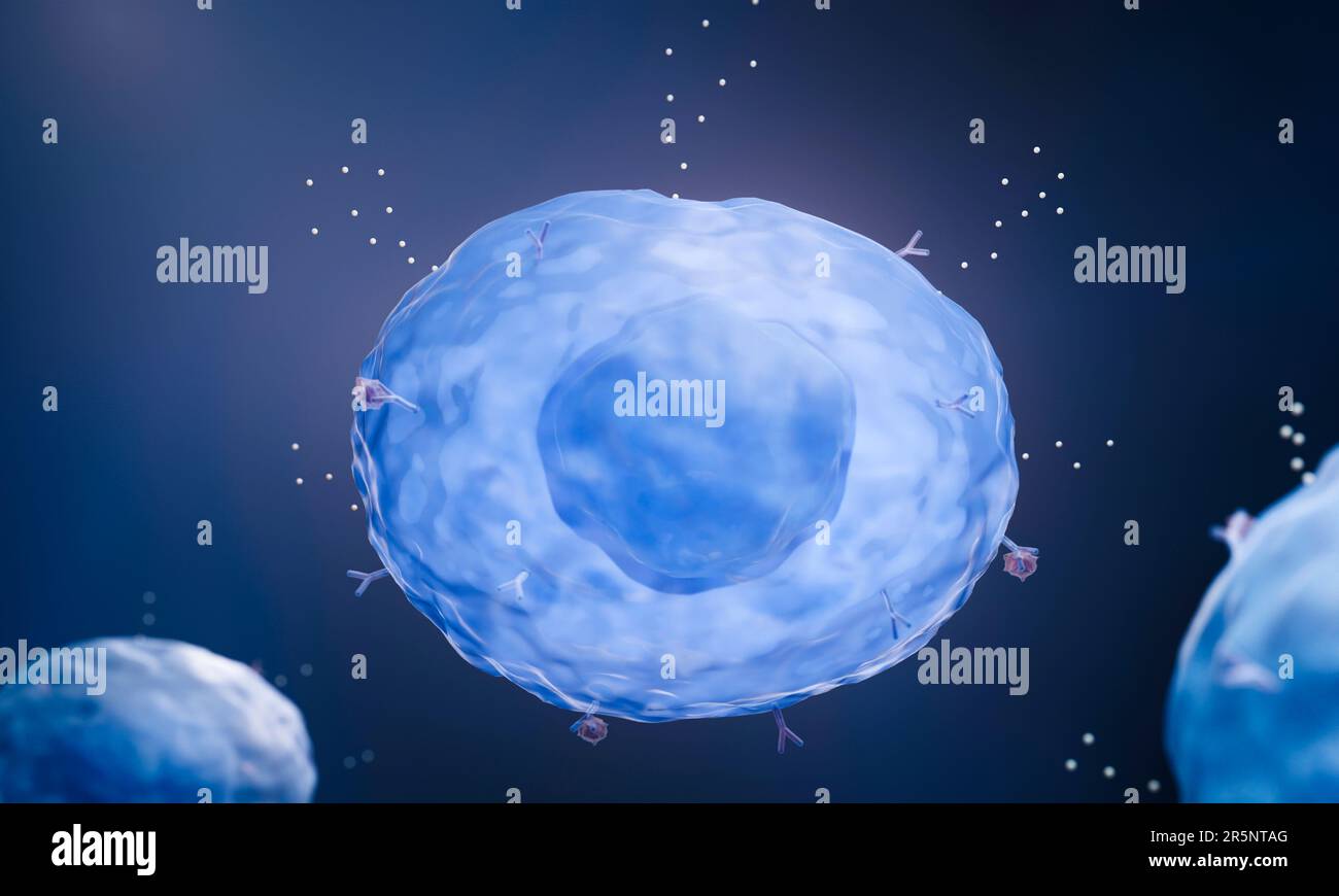 Mast cell releasing histamine, illustration Stock Photo Alamy