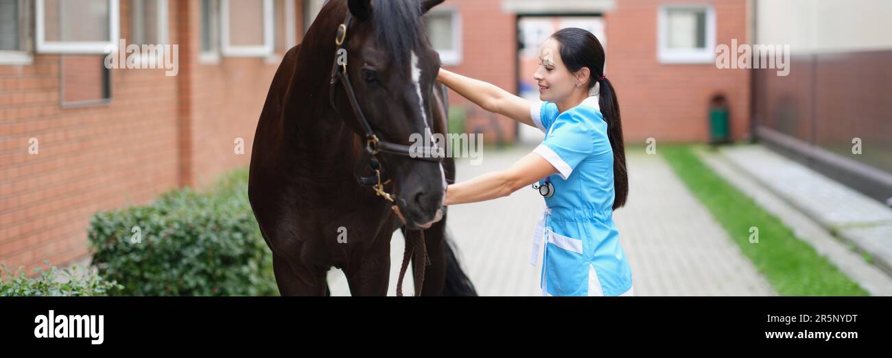 Woman veterinarian conducts medical examination of sports horse