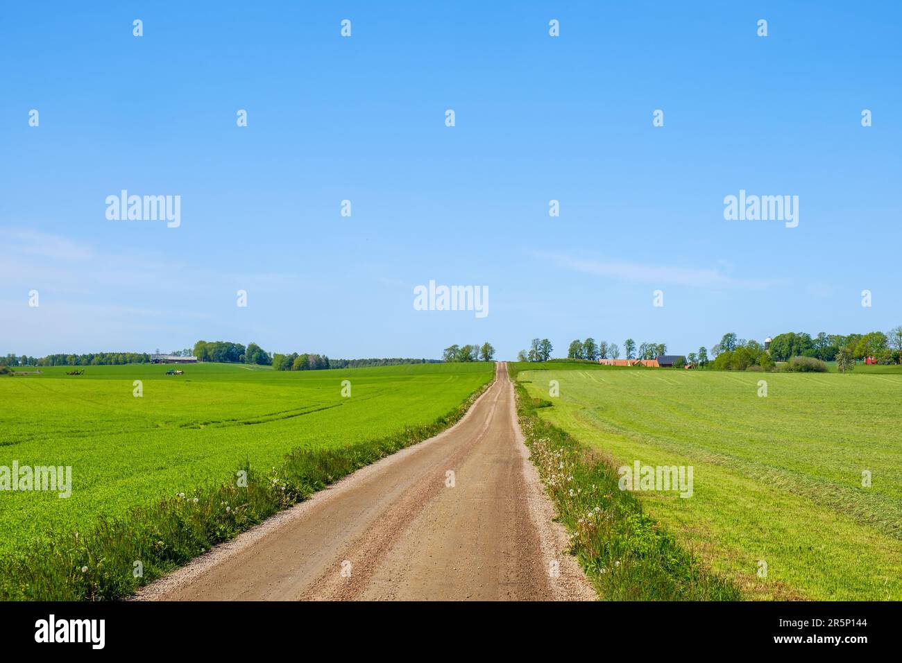 Dirt road in a rural landscape in the summer Stock Photo - Alamy