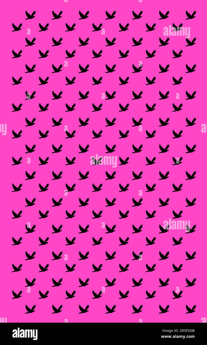 Seamless Pattern of Black Flying Pigeon Illustration on Pink Background Stock Photo