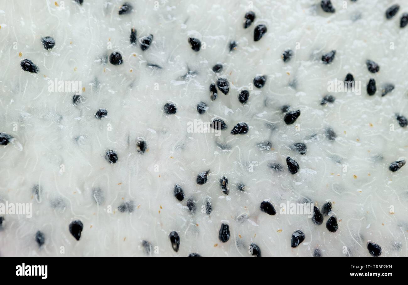 Texture of Juicy Flesh and Crunchy Seeds of Dragon Fruit Stock Photo