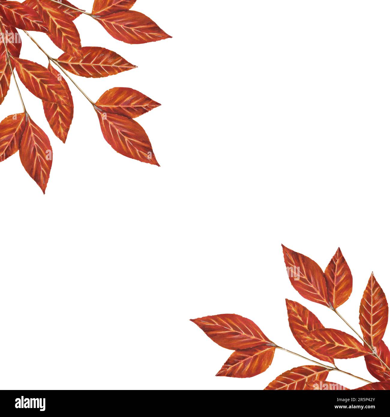 Watercolor frame with autumn leaves isolated illustration on white ...
