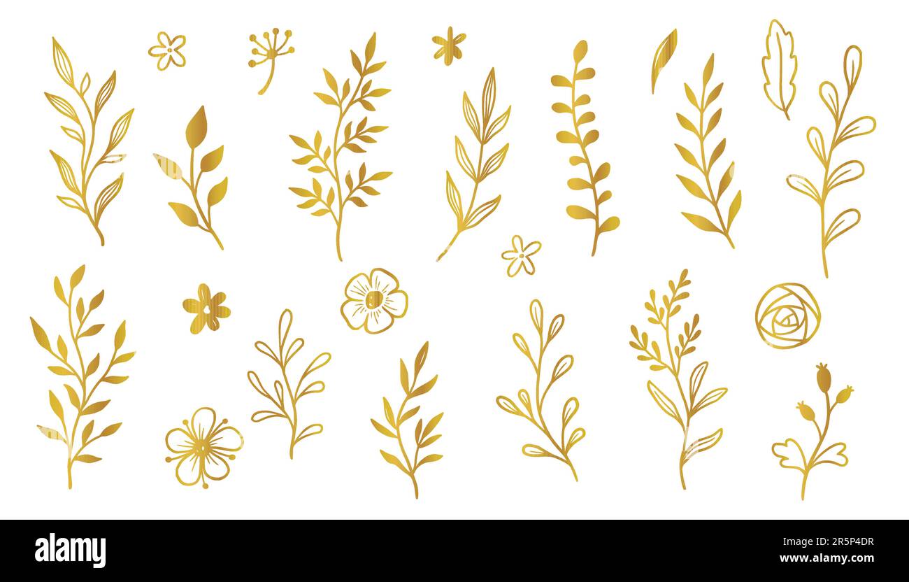 Botanical background with gold leaves on a white background. Vector  illustration Stock Vector Image & Art - Alamy