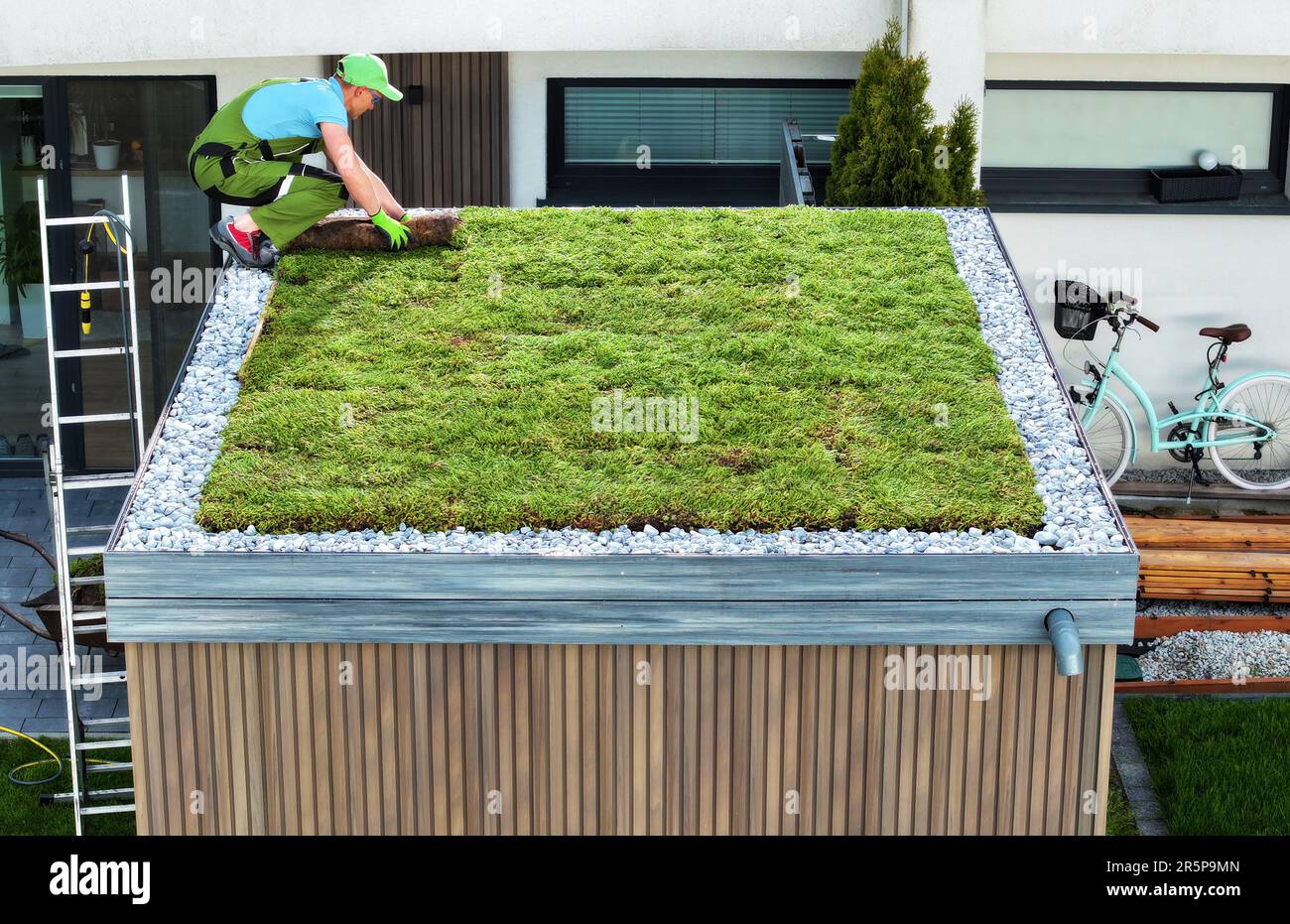 Professional Caucasian Landscaper Finishing Sedum Green Roof ...