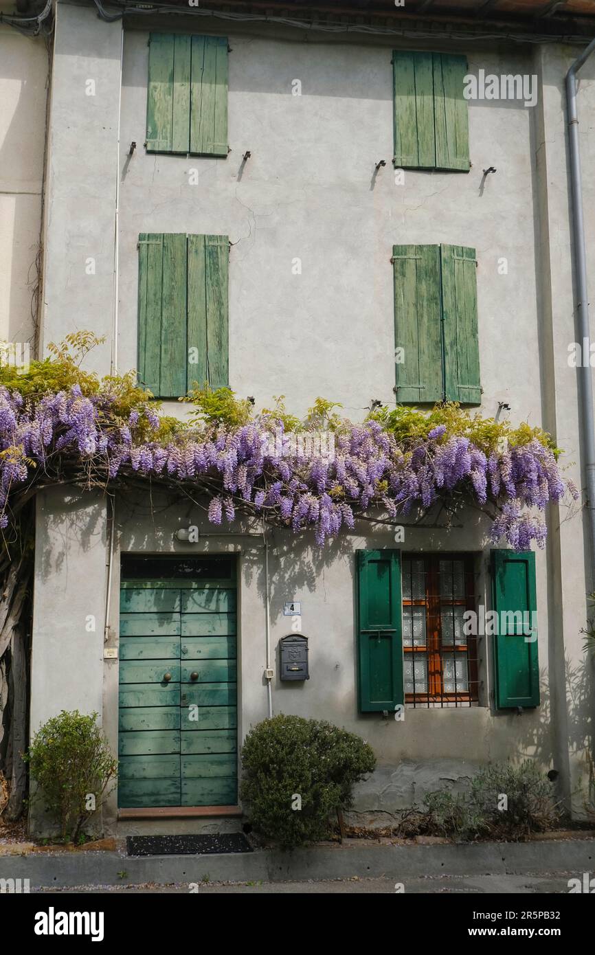 ancient house with green wooden doors and shutters on the windows. Wisteria flowers on the facade of the building. European province Stock Photo