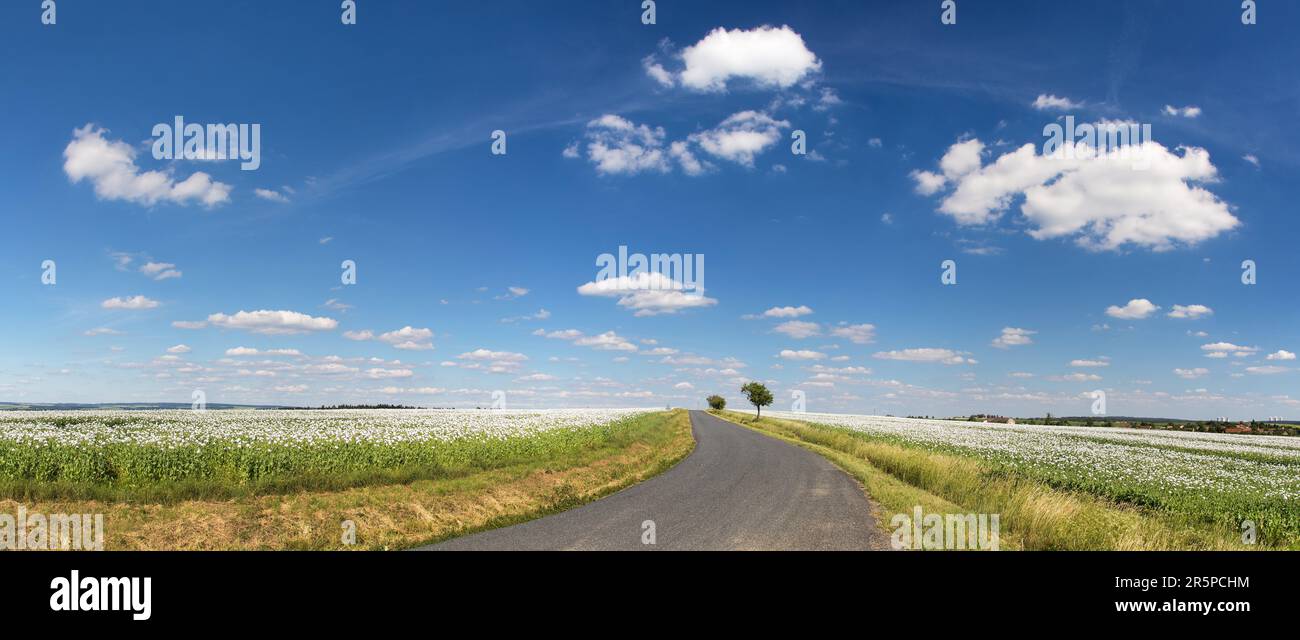 Beautiful poppy field clouds hi-res stock photography and images - Alamy