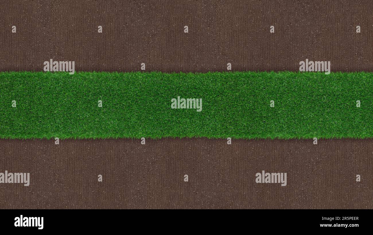 Meadow green grass surface and soil ground surface. Turf and terrain