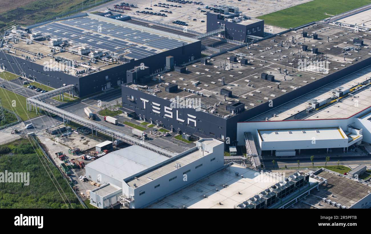 Key Investment Lessons and Risk Factors from the $88k → $415M → $0 Tesla Trading Saga