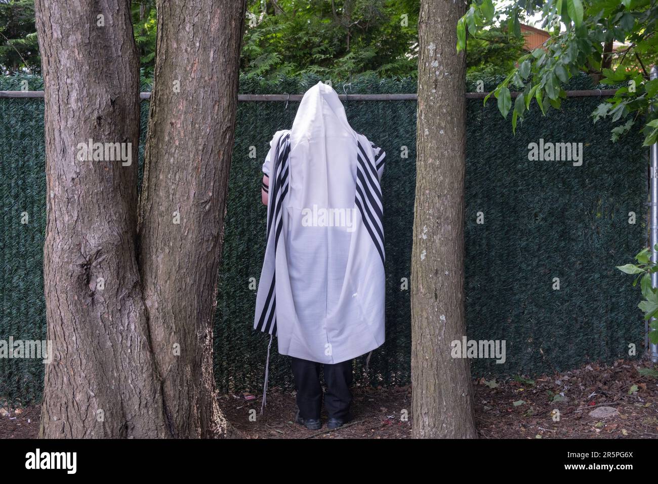 An orthodox Jewish man photographed from behind, reciting morning