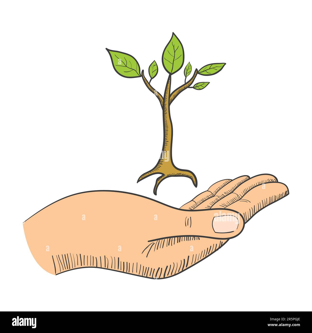 Simple graphic of a hand with a young tree symbol Stock Vector Image