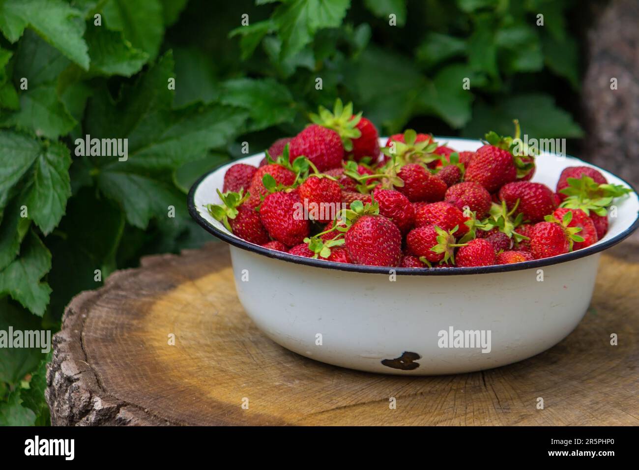 Strawberry handbag hi-res stock photography and images - Page 2 - Alamy