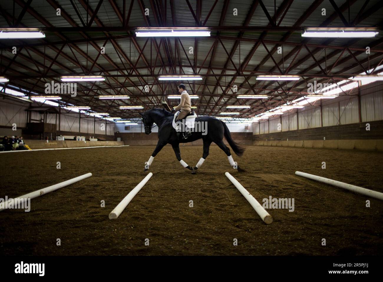 A dressage equestrian rides a horse in an indoor arena during a clinic, Alpine Farms in Medina, Minnesota. Stock Photo