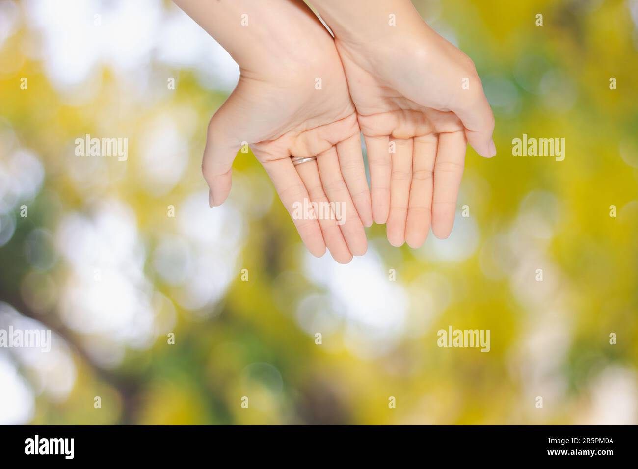 Closeup of woman open two empty hands with palms up from the top for pray to God and blessing on green blur background Stock Photo