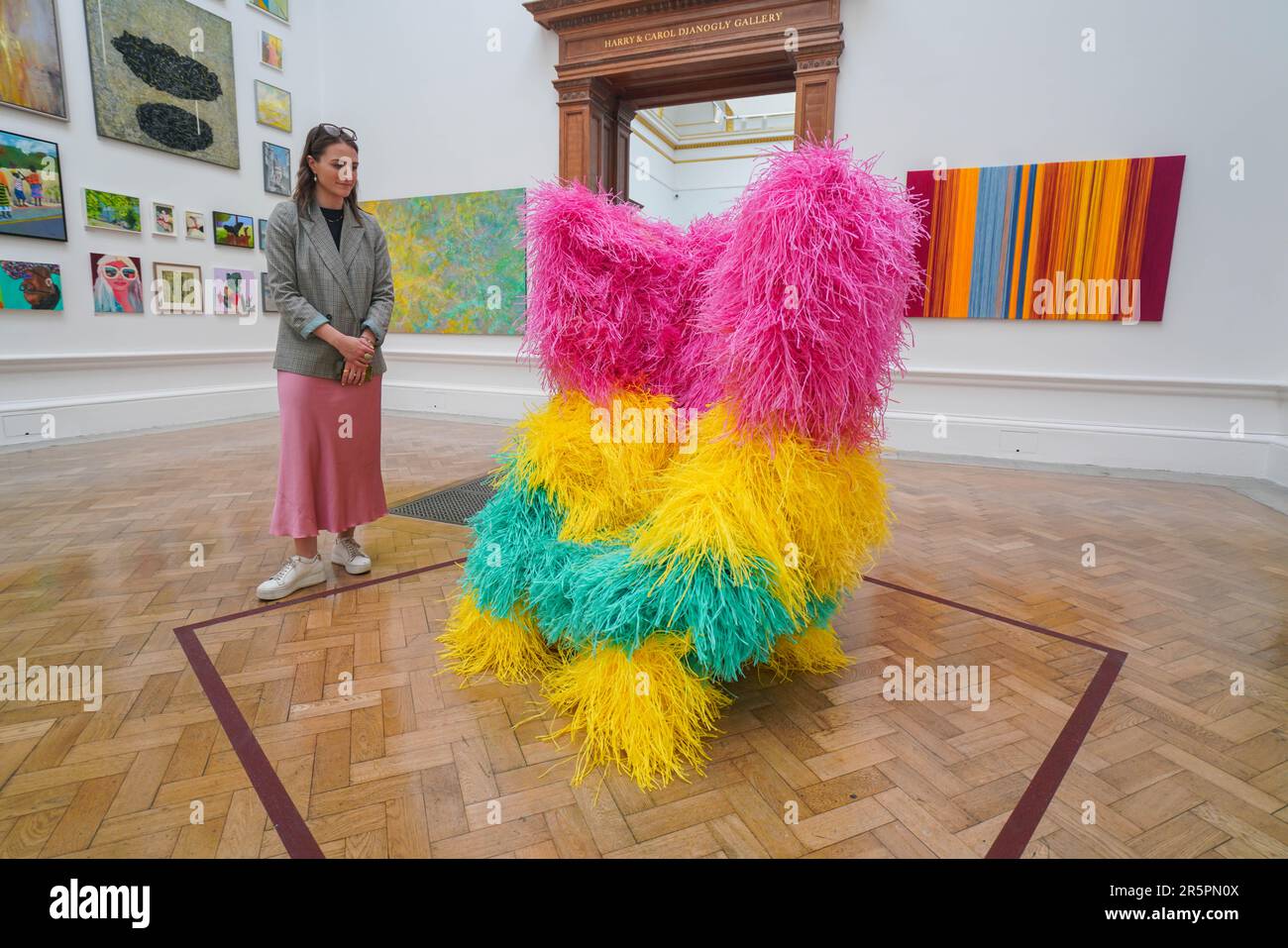 London UK. 5 June 2023 . CONVERSATION 2 , recycled baling twine Darcy  Fleming £6,500. Press preview of Summer Exhibition 2023 at the Royal  Academy of Arts in Piccadilly exhibiting over 1,600