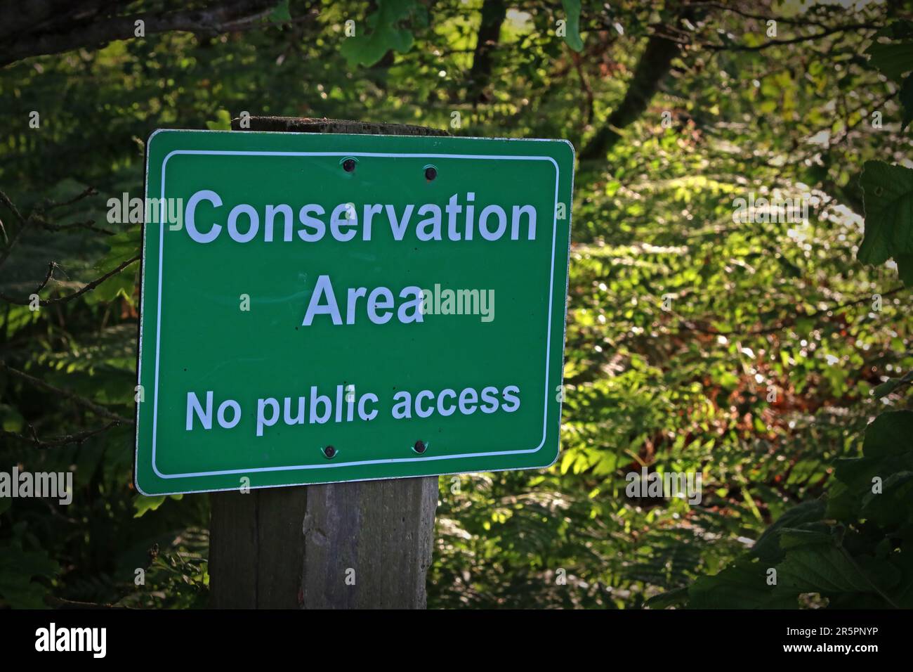 Green conservation area sign stating “No public access” in a wooded countryside setting in the UK Stock Photo