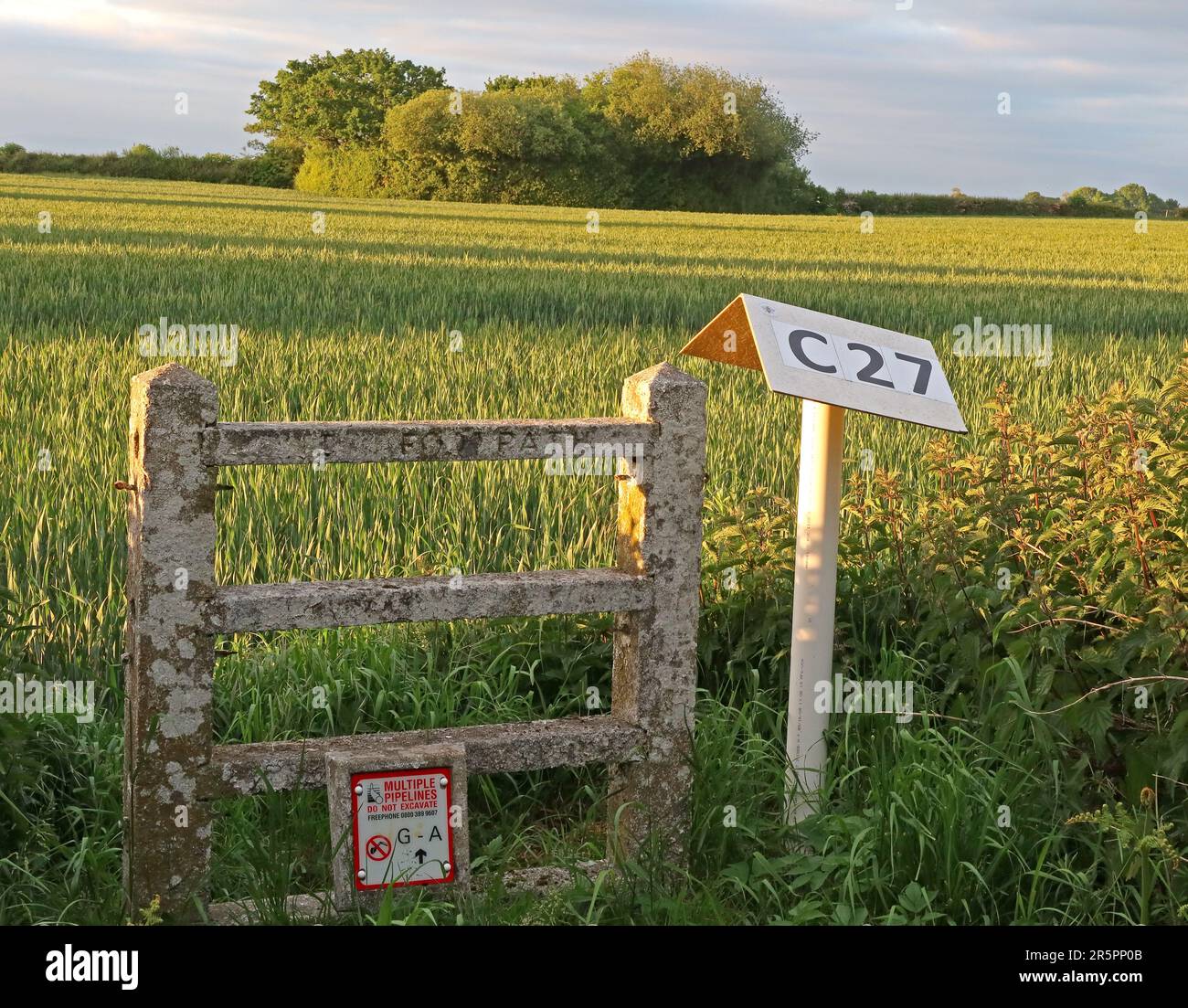 Pipeline marker posts indicating multiple buried pipelines crossing farmland near Grappenhall, Cheshire WA4 Stock Photo