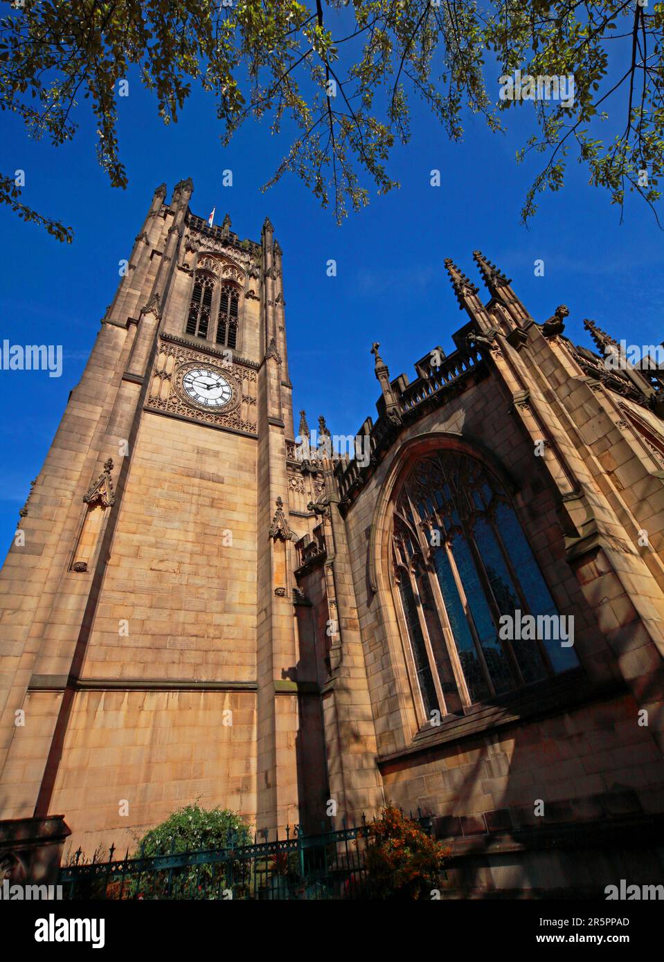 Manchester Cathedral clock tower photographed in summer under a clear blue sky, highlighting the Gothic stone architecture of the historic city centre Stock Photo