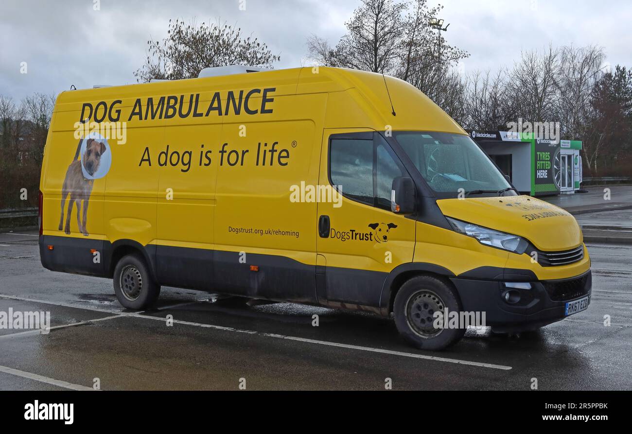 Dogs Trust dog ambulance van displaying the slogan “A dog is for life”, used to transport and support rescue dogs as part of the UK animal welfare Stock Photo