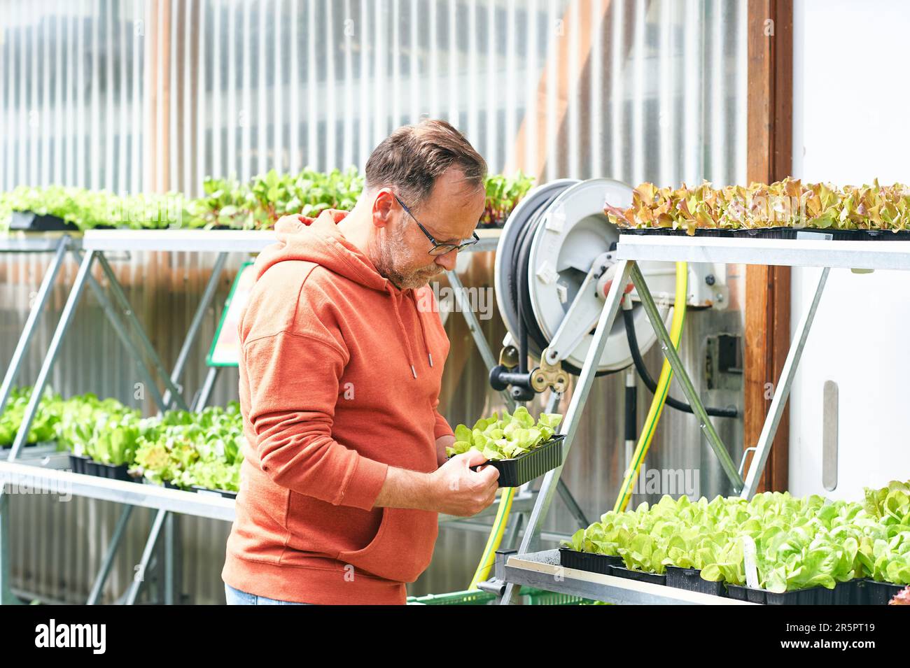 Senior man plants garden hi-res stock photography and images - Alamy